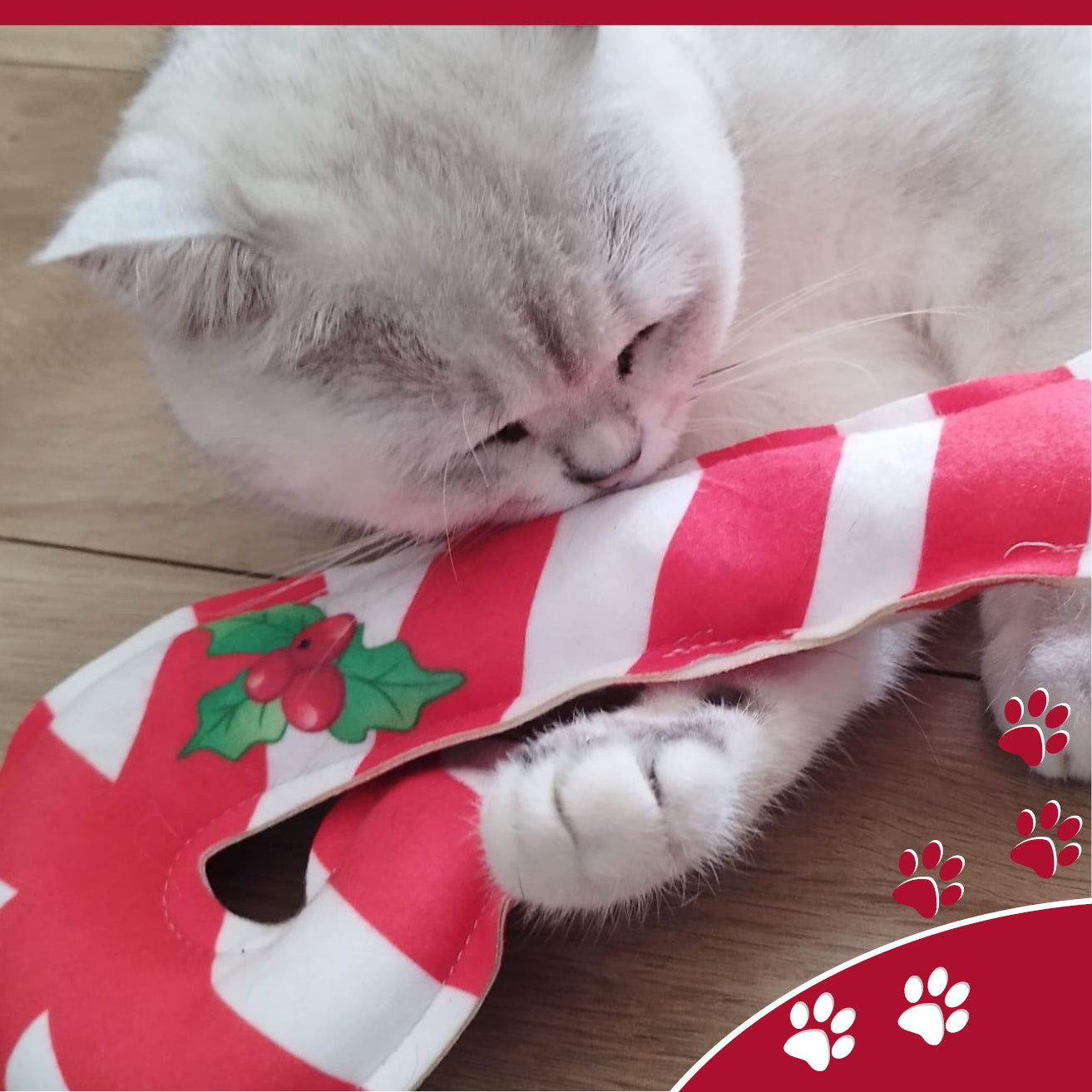 4cats - X-Mas Style Valerian (貓纈草