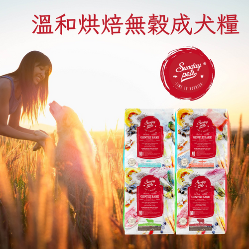 Sunday Pets 溫和烘焙無穀成犬糧 1.3kg