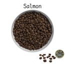 Canagan  無穀物 (全貓糧)