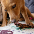 Skipper's 風乾鴨脖條 (5條)