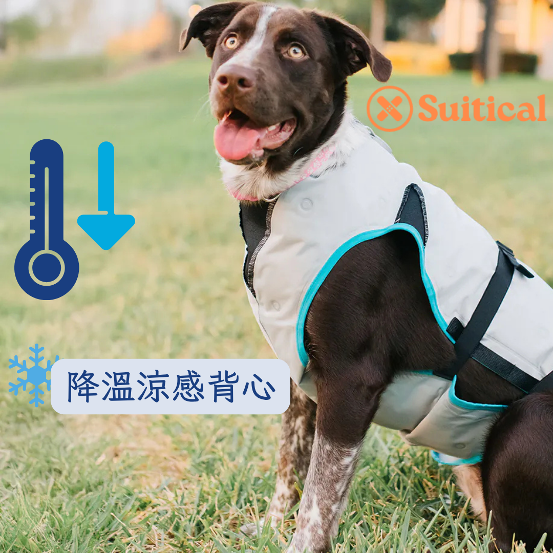 Suitical Dry Evaporative Cooling Vest (降溫涼感背心)