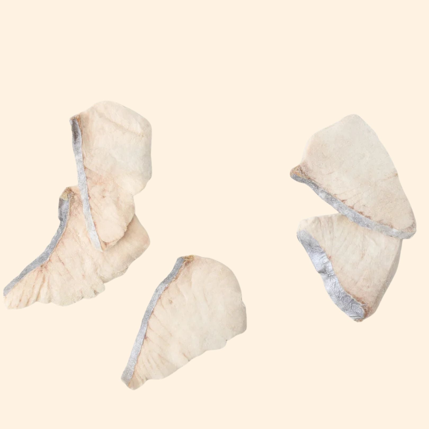 TAKI Mackerel Freeze-Dried Treats
