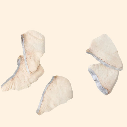 TAKI Mackerel Freeze-Dried Treats