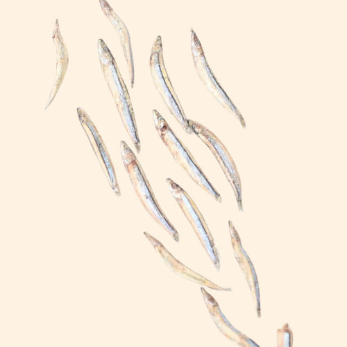 TAKI Japan Kibinago Fish Freeze-Dried Snacks