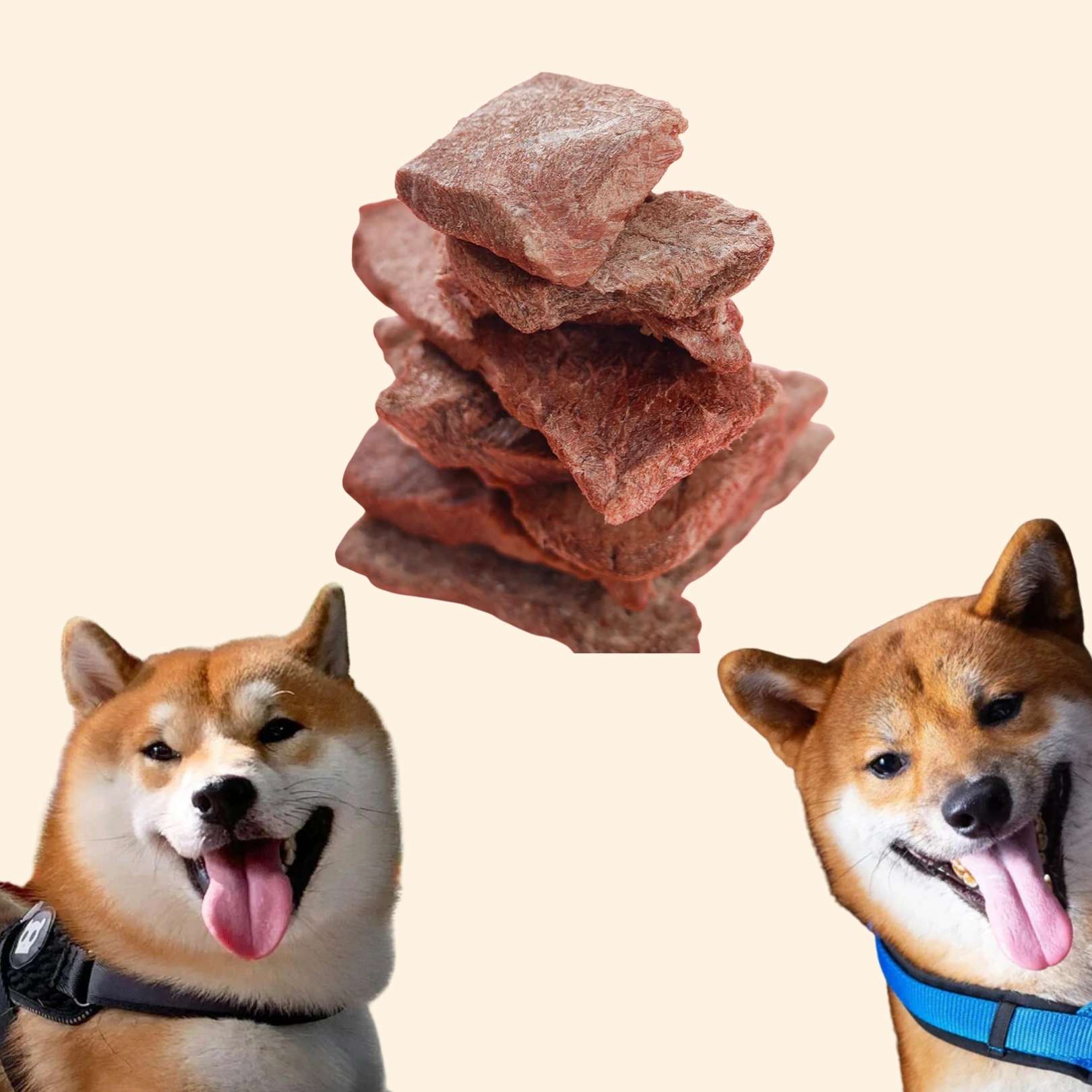 TAKI 和牛扒凍乾小食