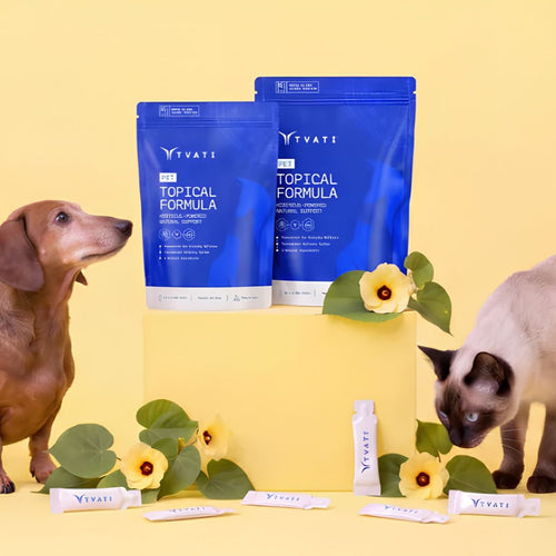 TVATI PET - Daily Mobility Formula for Small Dogs and Cats (0.5ML X 12)