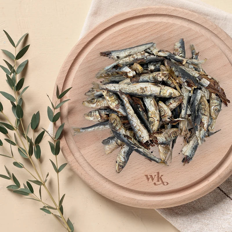 Wildkind Southern Ocean Pilchards 100g 