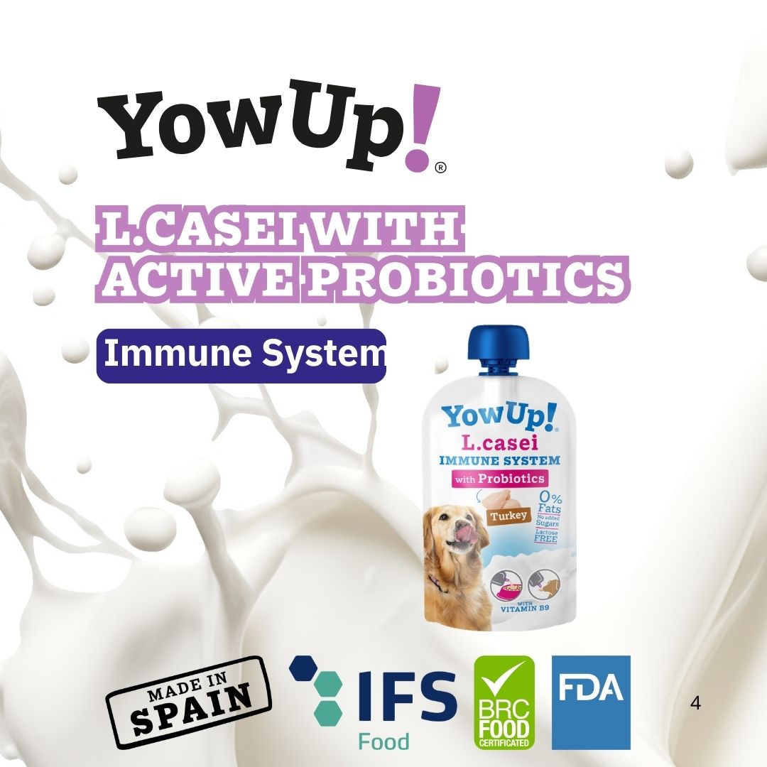 YowUp! Natural Yogurt with Prebiotics for Dogs - Gut Health Formula