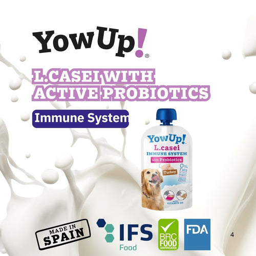 YowUp 狗狗乳酪 拌糧神器