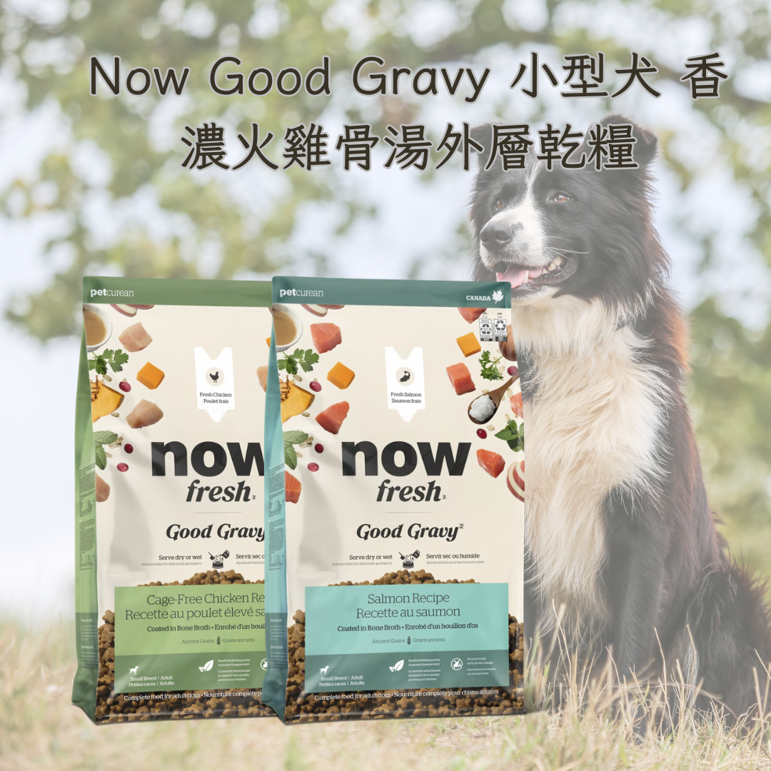 Now Good Gravy 小型犬 香濃火雞骨湯外層乾糧