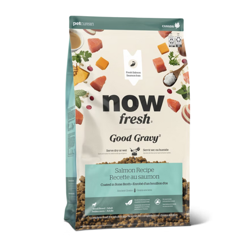 Now Good Gravy Small Dog Food with Rich Turkey Broth