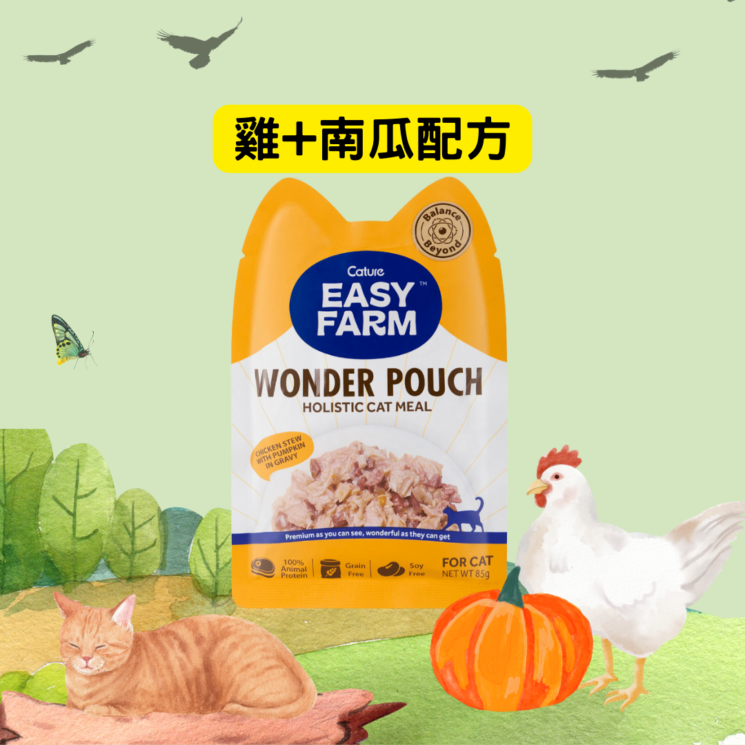 Cature 迦爵 Wonder Pouch 貓貓低溫慢燉鮮食餐包 - 雞+南瓜配方 85g