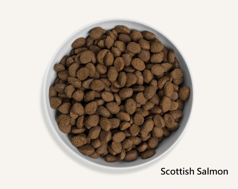 Canagan 無穀物狗糧 (全犬糧)