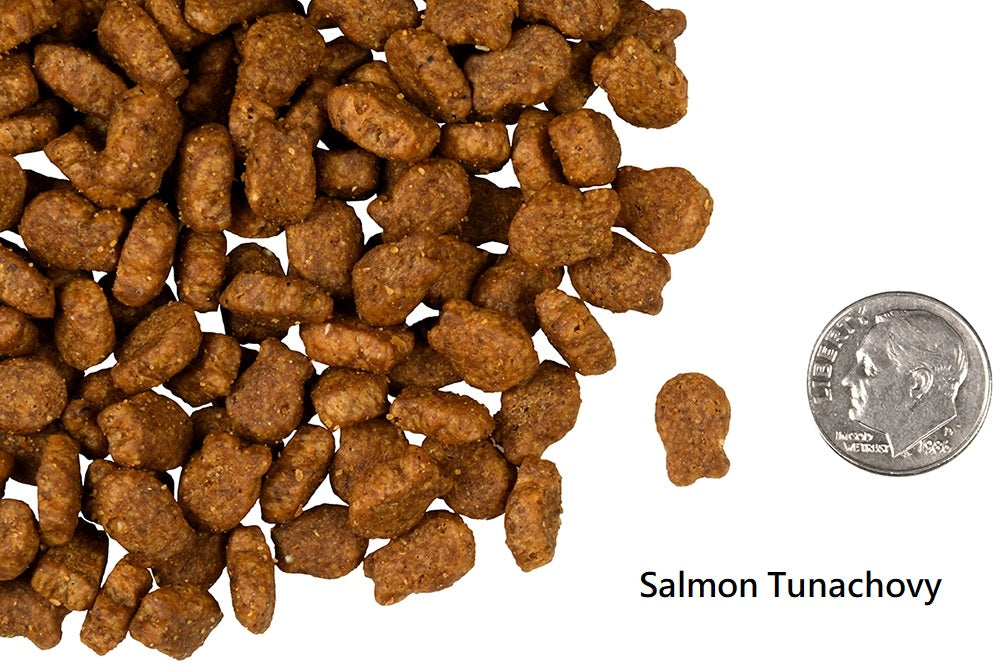 Fromm Cat 無穀物 貓糧