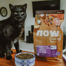 Now! Grain Free Turkey, Salmon, Duck Cat Food - Older Cats/Weight Management