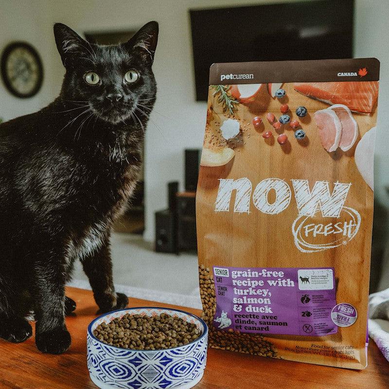 Now! Grain Free Turkey, Salmon, Duck Cat Food - Older Cats/Weight Management