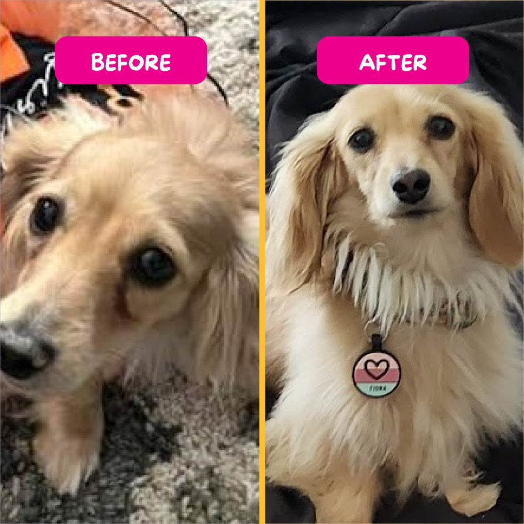 PetEyez - 去淚痕眼睛保健粉 (貓狗合用) 120 湯匙