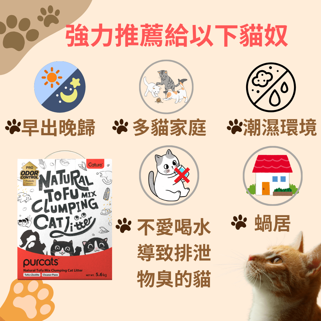 Cature 迦爵 高效抗菌粒子豌豆豆腐貓砂 14L (5.6 Kg)
