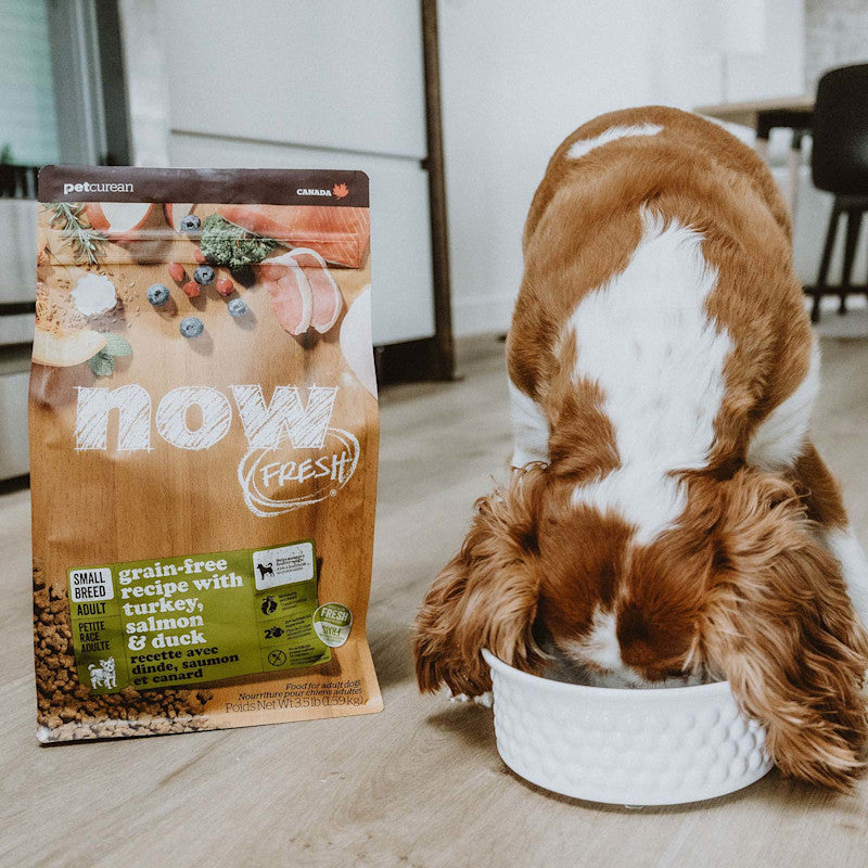 Now! Grain Free 火雞三文魚鴨肉狗糧 - 小型成犬