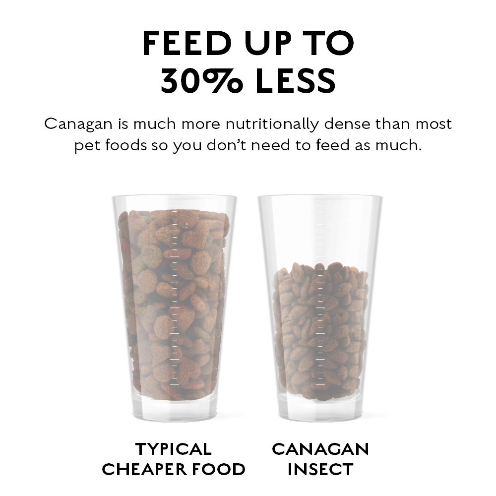 Canagan Insect Protein Grain-Free Dog Food (Complete Dog Food)