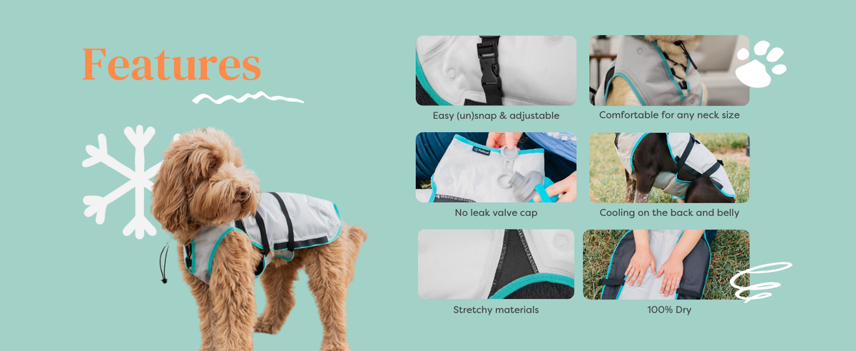 Suitical DRY Cooling Vest for Dogs | Heatstroke Prevention HK – Foreverpets