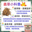 Animal Essentials - ENERGY Organic Cordyceps (CS4) Powder 2.8oz (80g) (For Cats and Dogs)