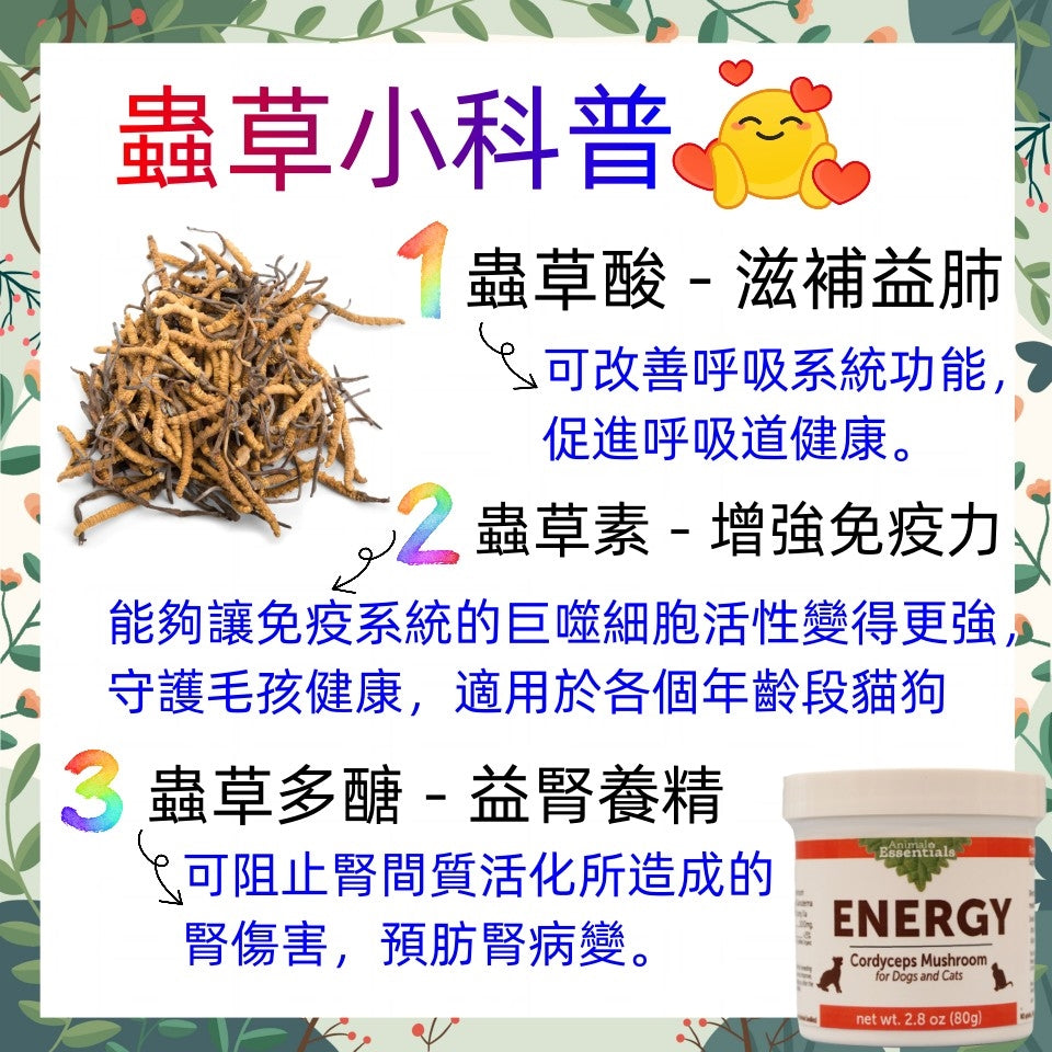 Animal Essentials - ENERGY Organic Cordyceps (CS4) Powder 2.8oz (80g) (For Cats and Dogs)