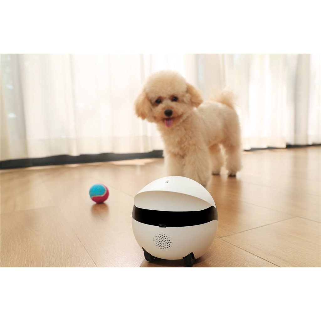 Enabot ROLA Mini 寵物互動機械人