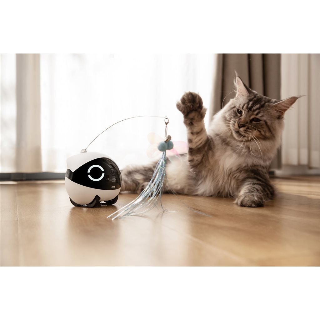 ROLA Mini Companion Robot