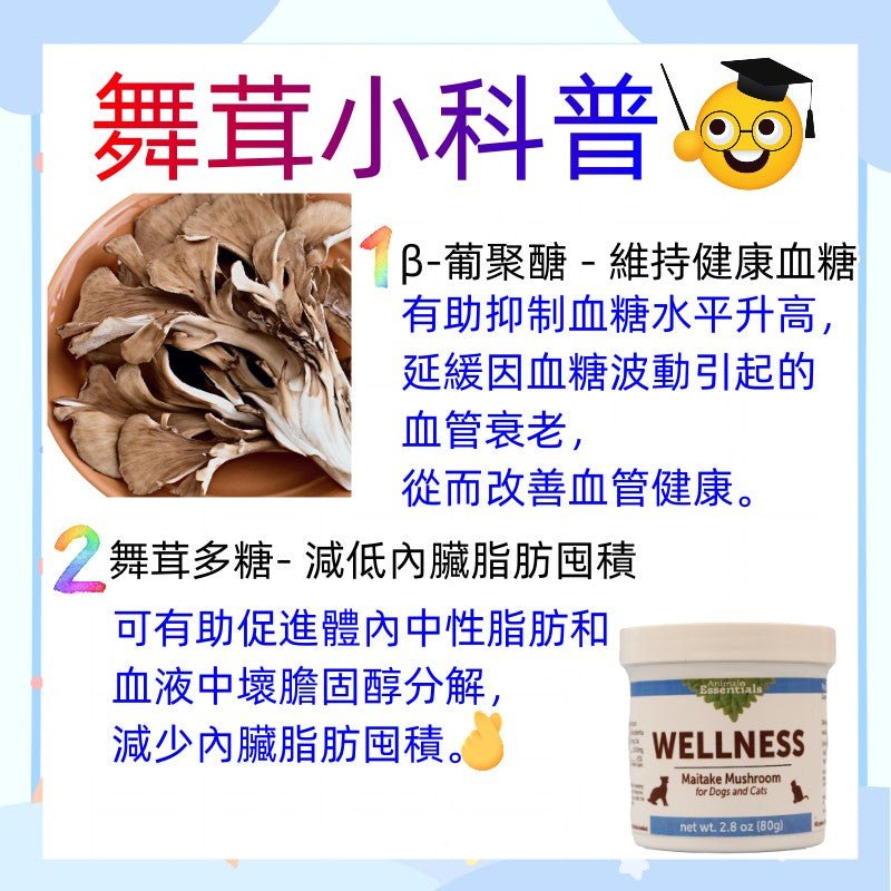 Animal Essentials™ - WELLNESS 有機舞茸粉 2.8oz (80g) (貓狗合用) - 幸福站