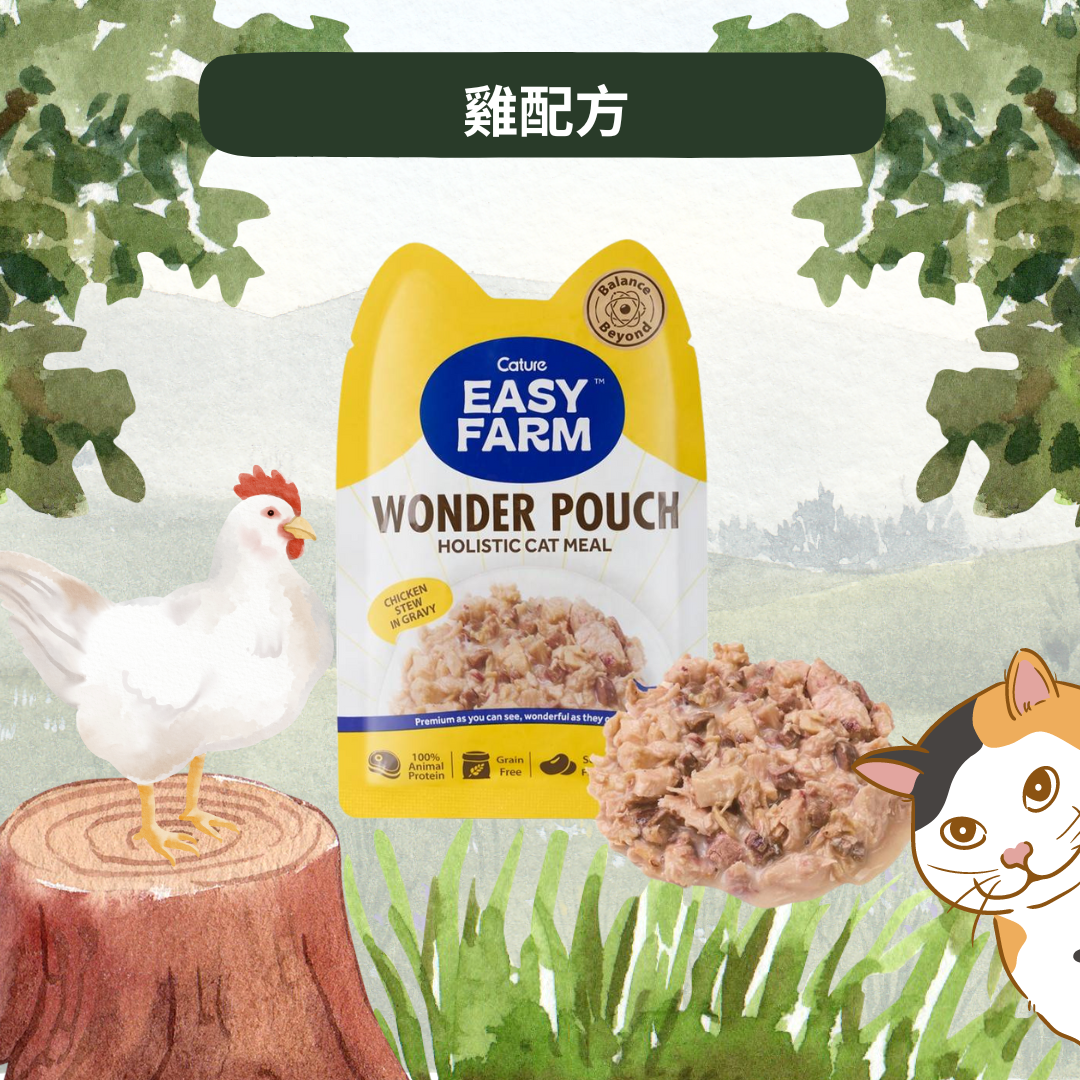 Cature 迦爵 Wonder Pouch 貓貓低溫慢燉鮮食餐包 - 雞配方 85g