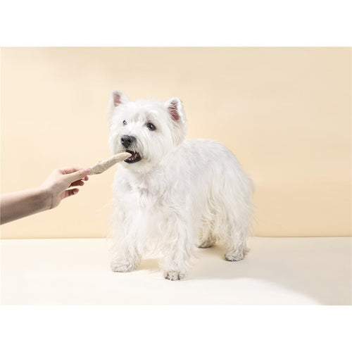 Cature 迦爵 Easy Farm 凍乾脫水小食 45g