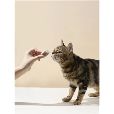 Cature 迦爵 Easy Farm 凍乾脫水小食 45g