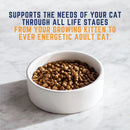 Natural Balance ULTRA Flavor Series - Whole Cat Food