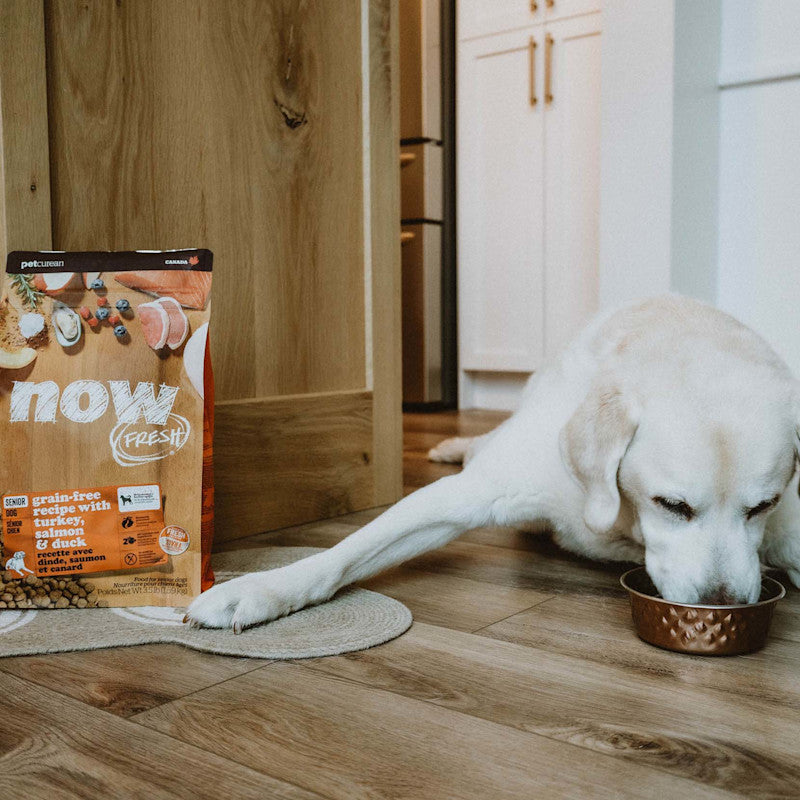 Now! Grain Free 火雞三文魚鴨肉狗糧 - 老犬/體重控制