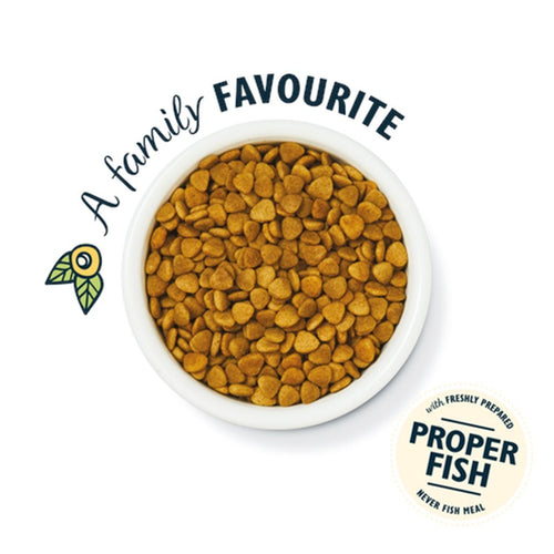 Lily's Kitchen - Grain-Free Adult Cat Food