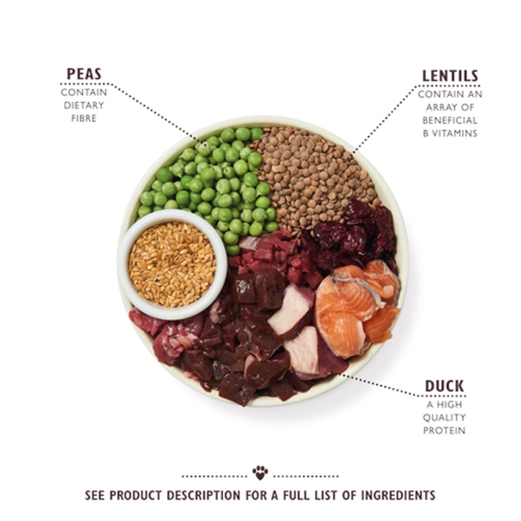 Lily's Kitchen - 無穀物 成犬 狗糧