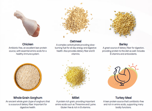 Canidae (All Life Stage) 全犬期配方 狗糧