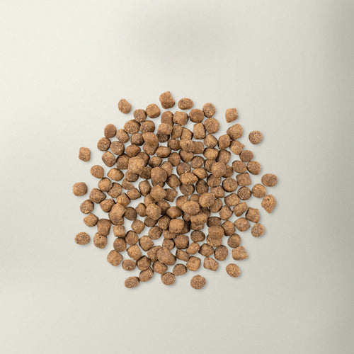 Now! Grain Free Turkey, Salmon, Duck Cat Food - Older Cats/Weight Management