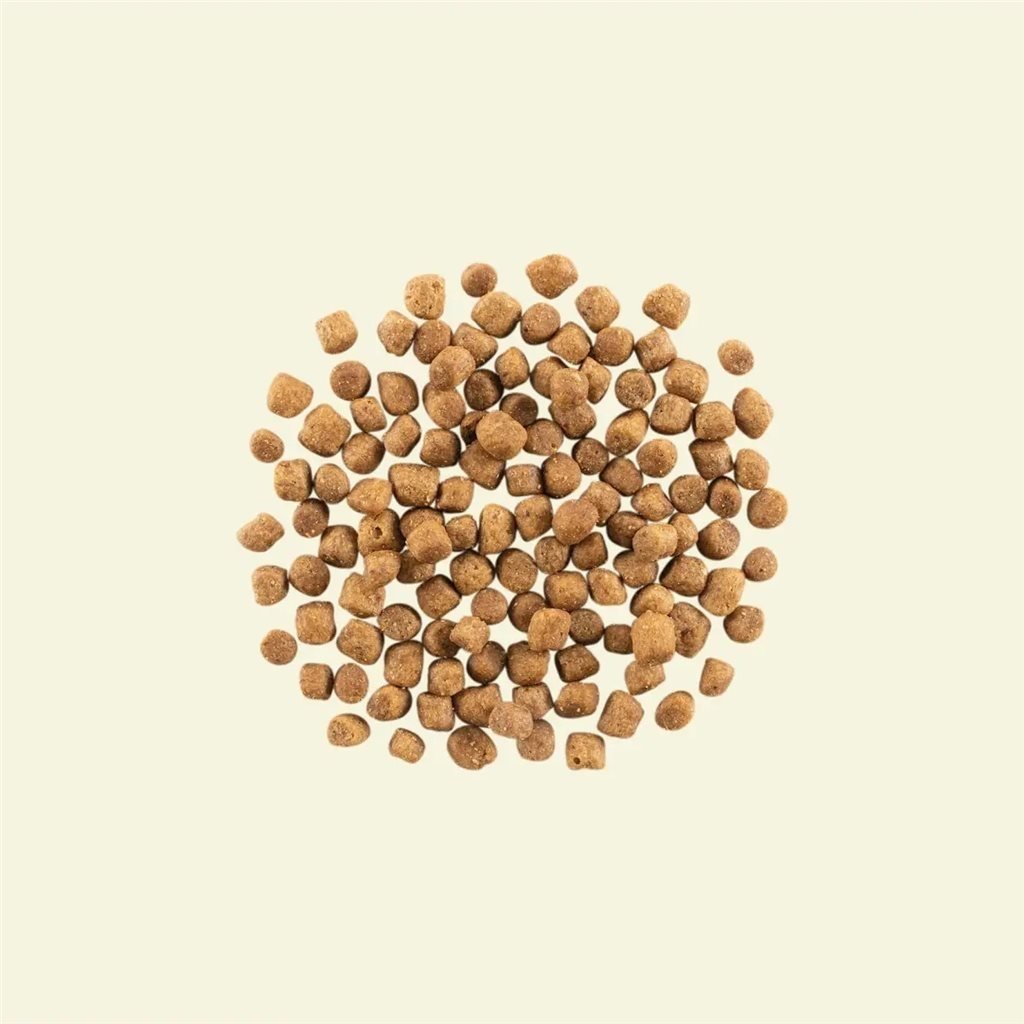 Now! Grain Free 火雞三文魚鴨肉狗糧 - 小型幼犬