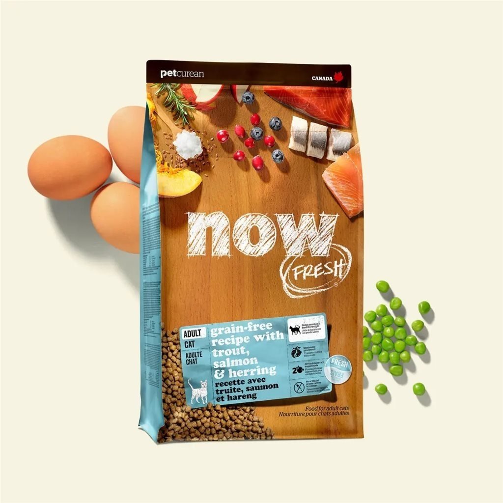 Now! Grain Free 成貓 無穀物魚肉配方貓糧