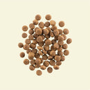 Now! Grain Free 火雞三文魚鴨肉狗糧 - 幼犬