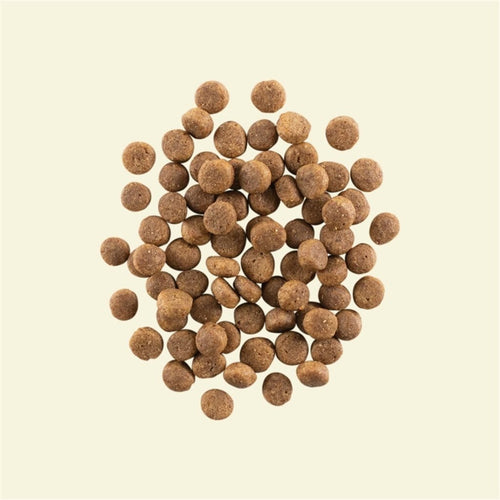 Now! Grain Free 火雞三文魚鴨肉狗糧 - 幼犬