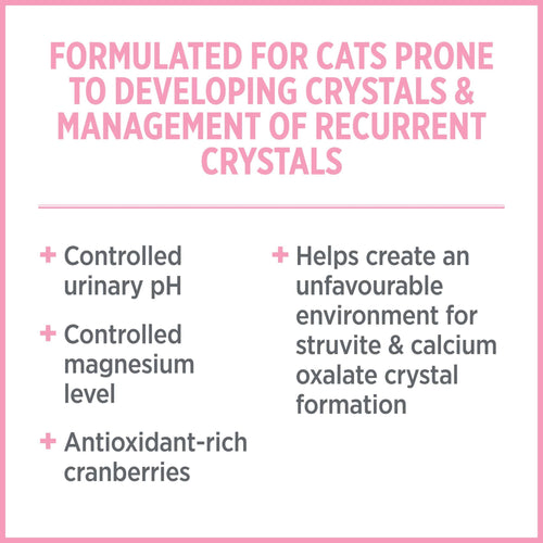 Nutrience Care Urinary Health Cat Food