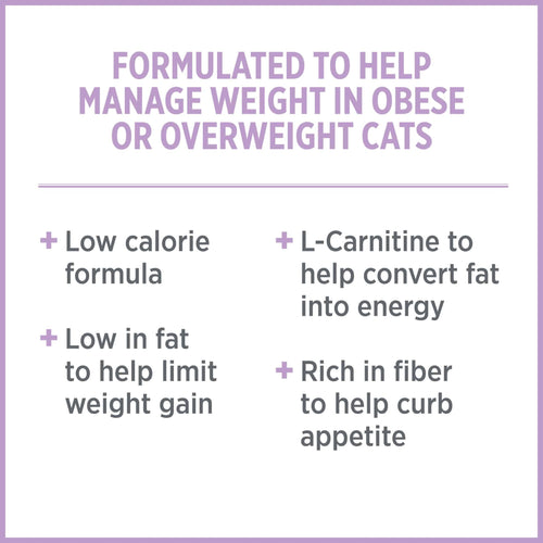 Nutrience Care Weight Management Cat Food