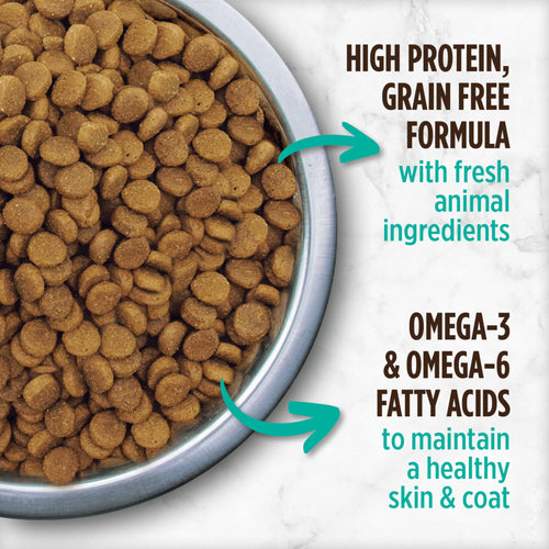 Nutrience Grain Free Indoor Cat