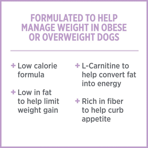 Nutrience Care Weight Management Food for Dogs