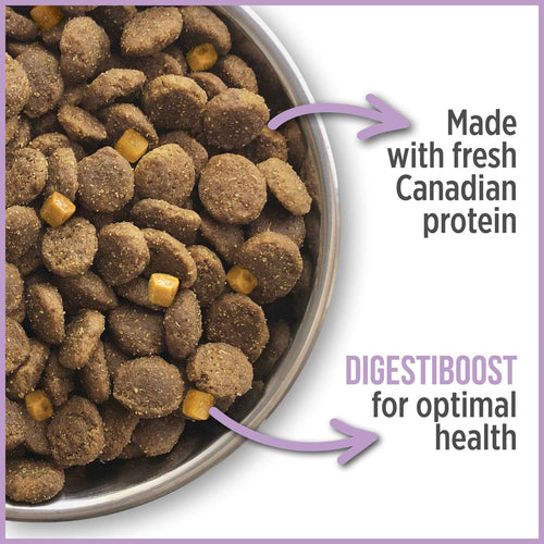 Nutrience Care Weight Management Food for Dogs
