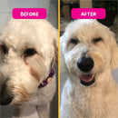 PetEyez - 減淚痕保健 (狗) 1 oz