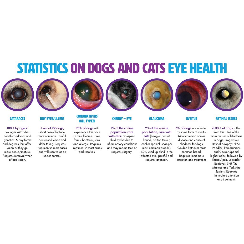 PetEyez - 減淚痕保健 (狗) 1 oz